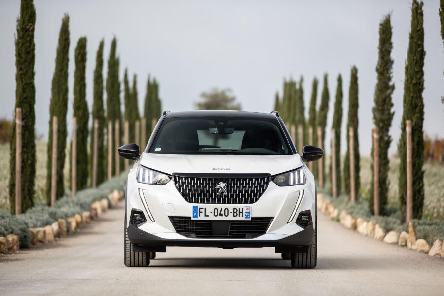  Peugeot e-2008 GT (Digital White) 2019 года  (WW) (фото 57 из 119)